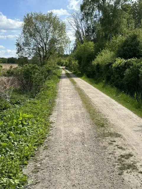 Bild 27 von 55