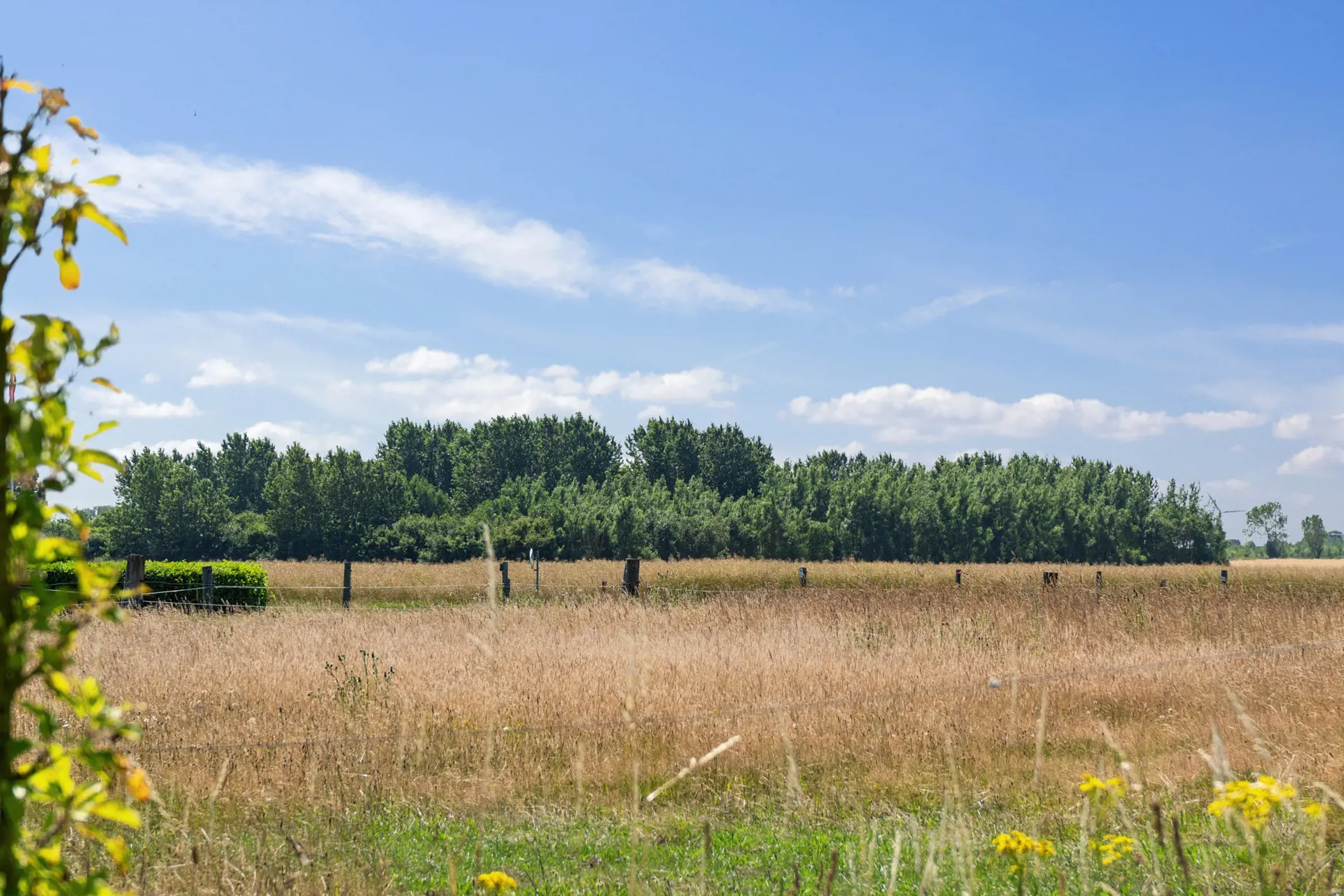 Bild 33 von 37