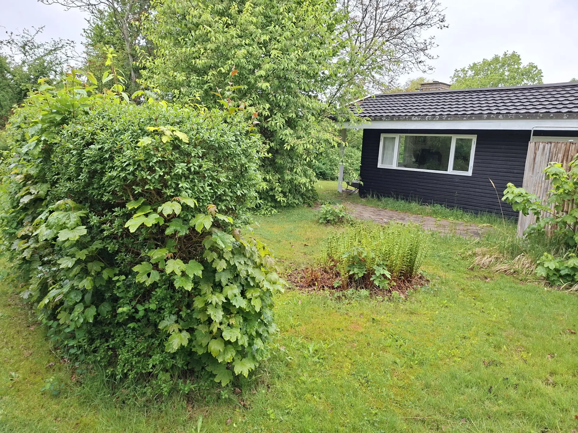 Bild 3 von 17