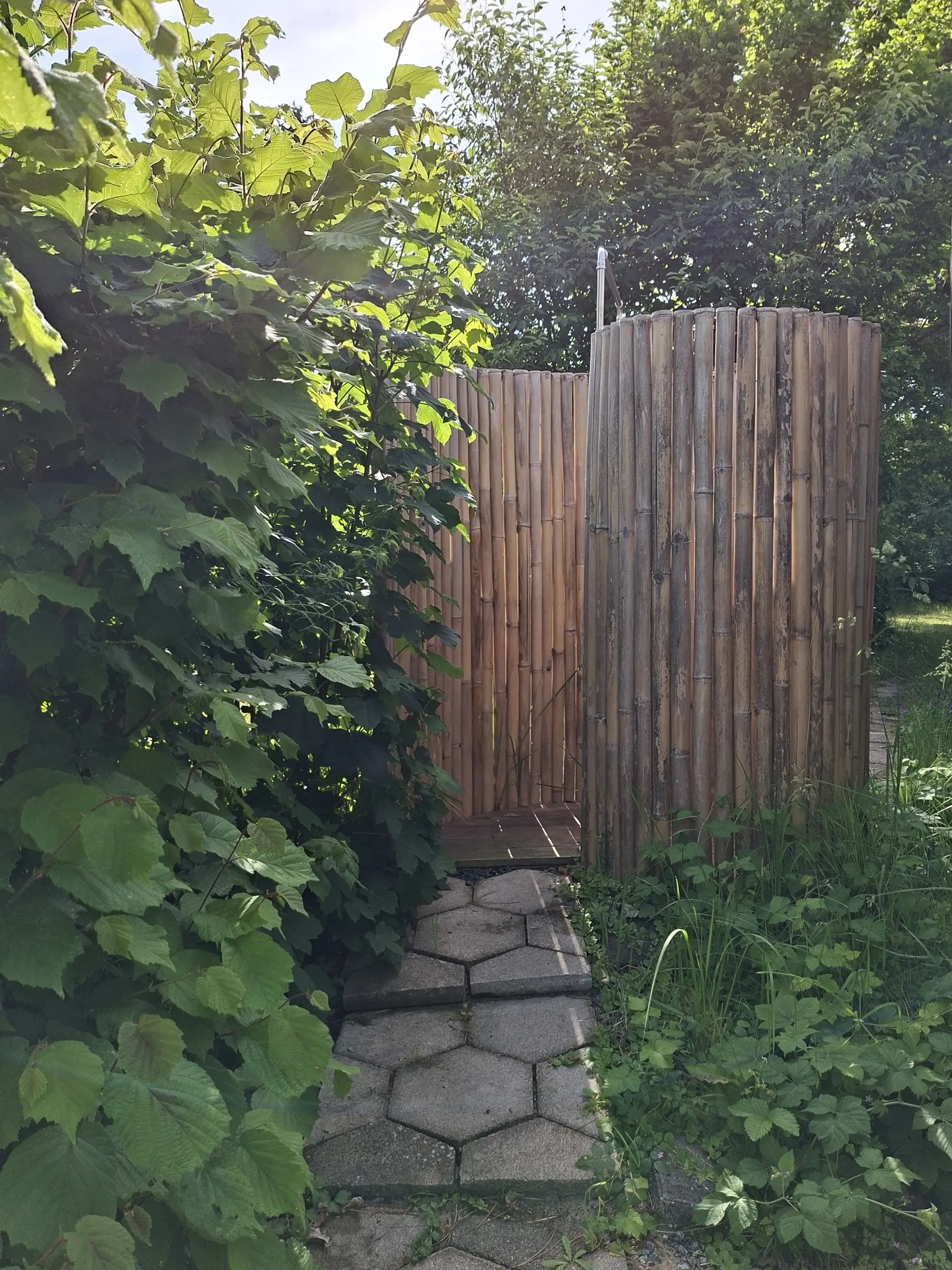 Bild 12 von 17