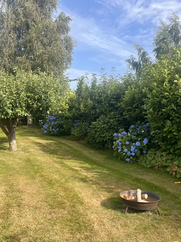 Bild 27 von 39