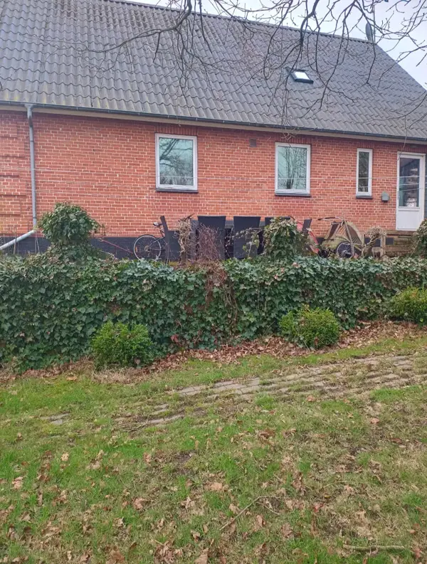 Bild 5 von 11