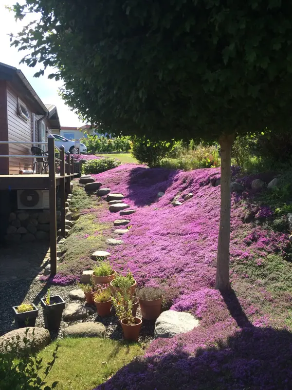 Bild 16 von 19