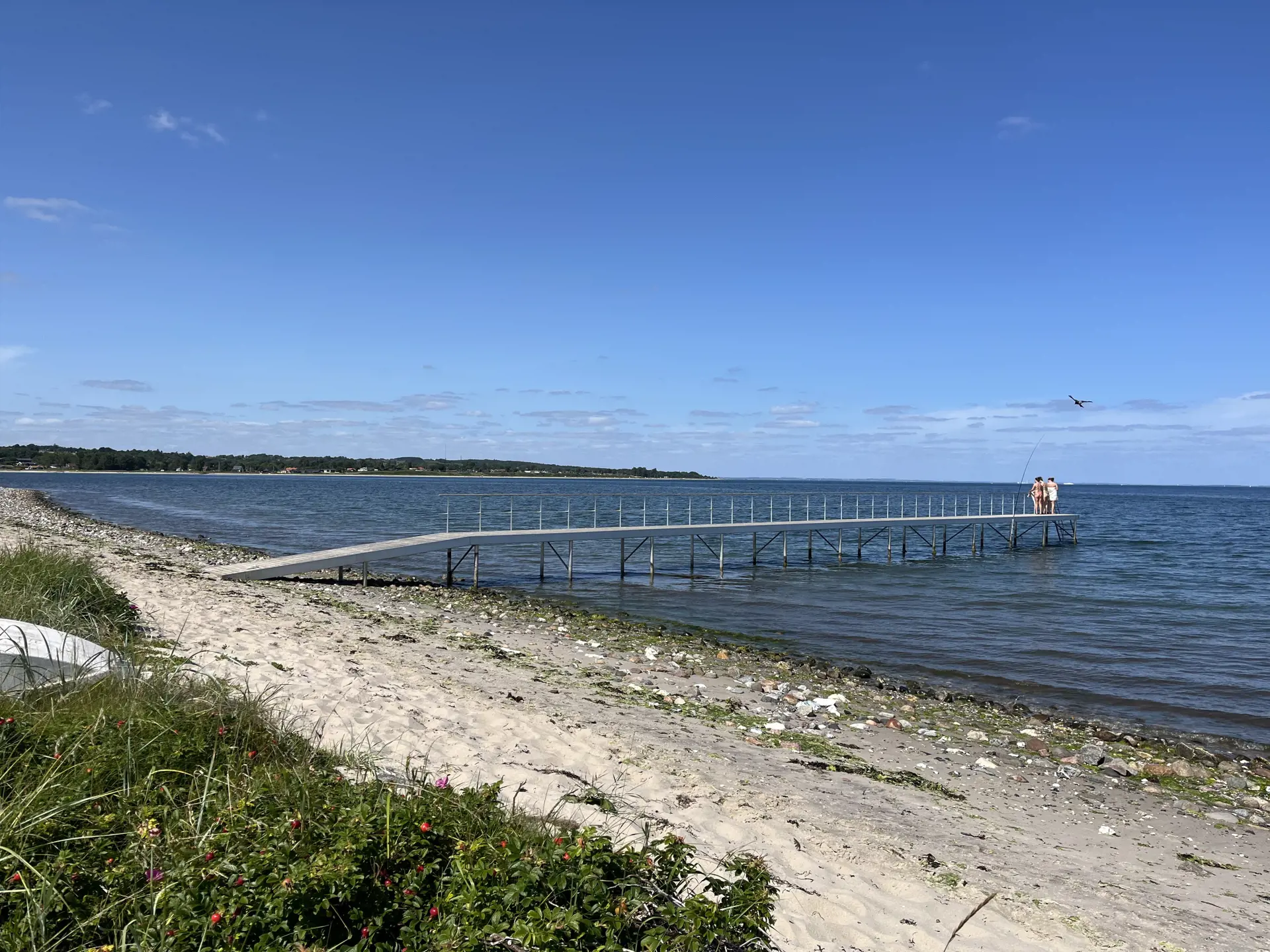 Bild 16 von 17