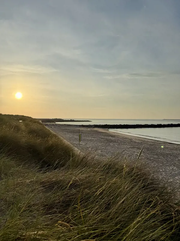 Bild 34 von 35
