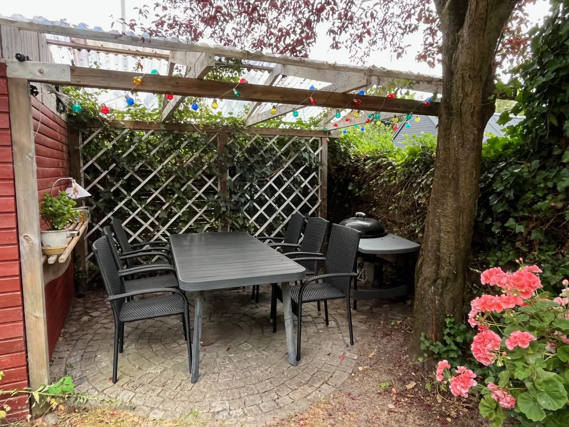 Bild 19 von 24