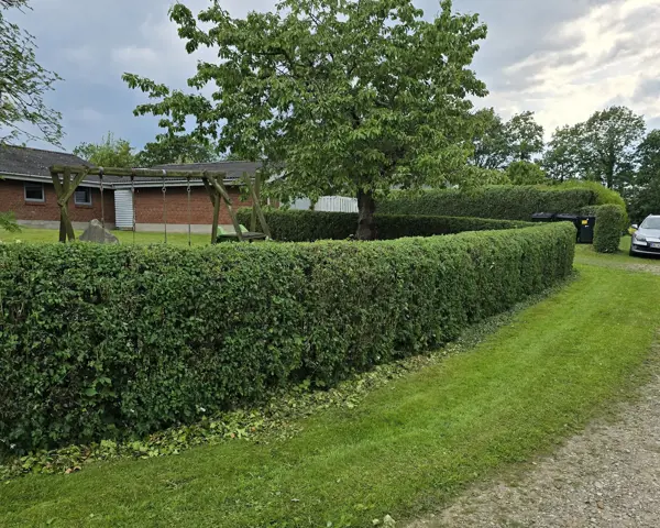 Ferienhaus 292989 in Rønnebærvænget 13, Hejlsminde | Bild 8 von 25