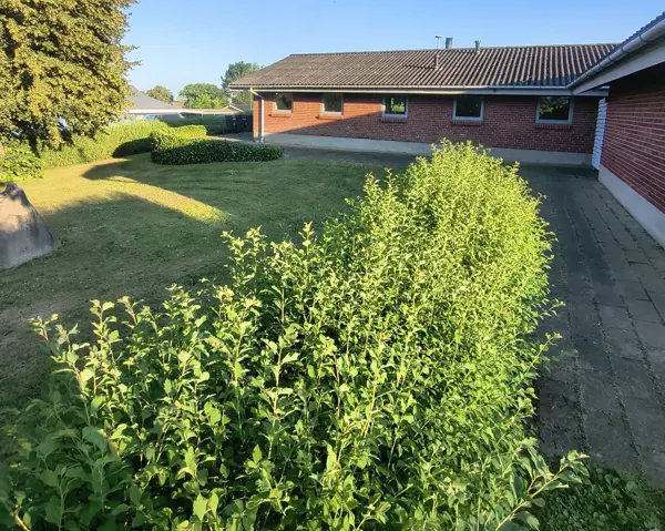 Ferienhaus 292989 in Rønnebærvænget 13, Hejlsminde | Bild 24 von 25