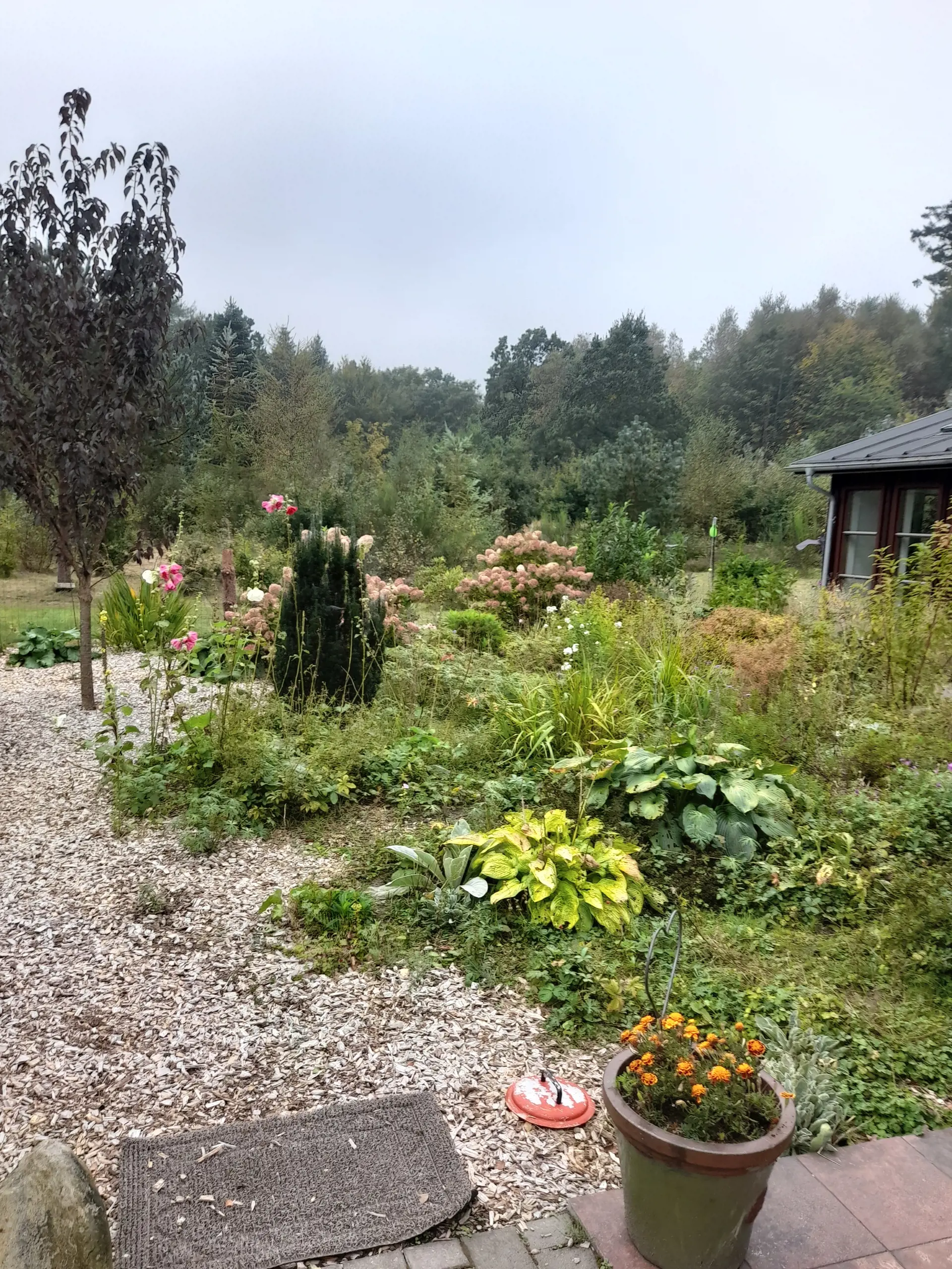 Bild 14 von 16