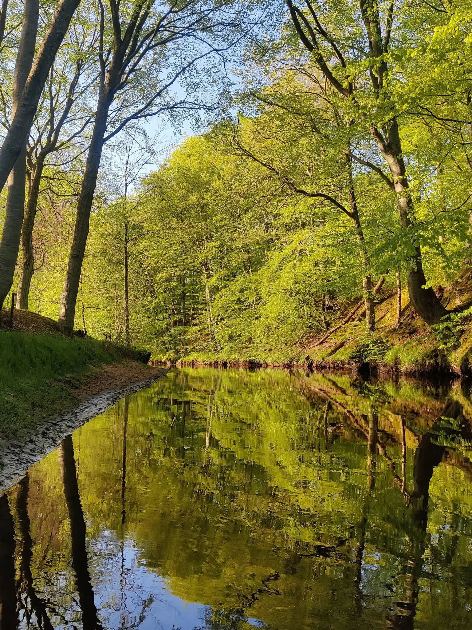Bild 43 von 59
