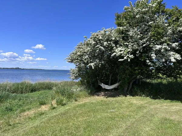 Bild 3 von 68