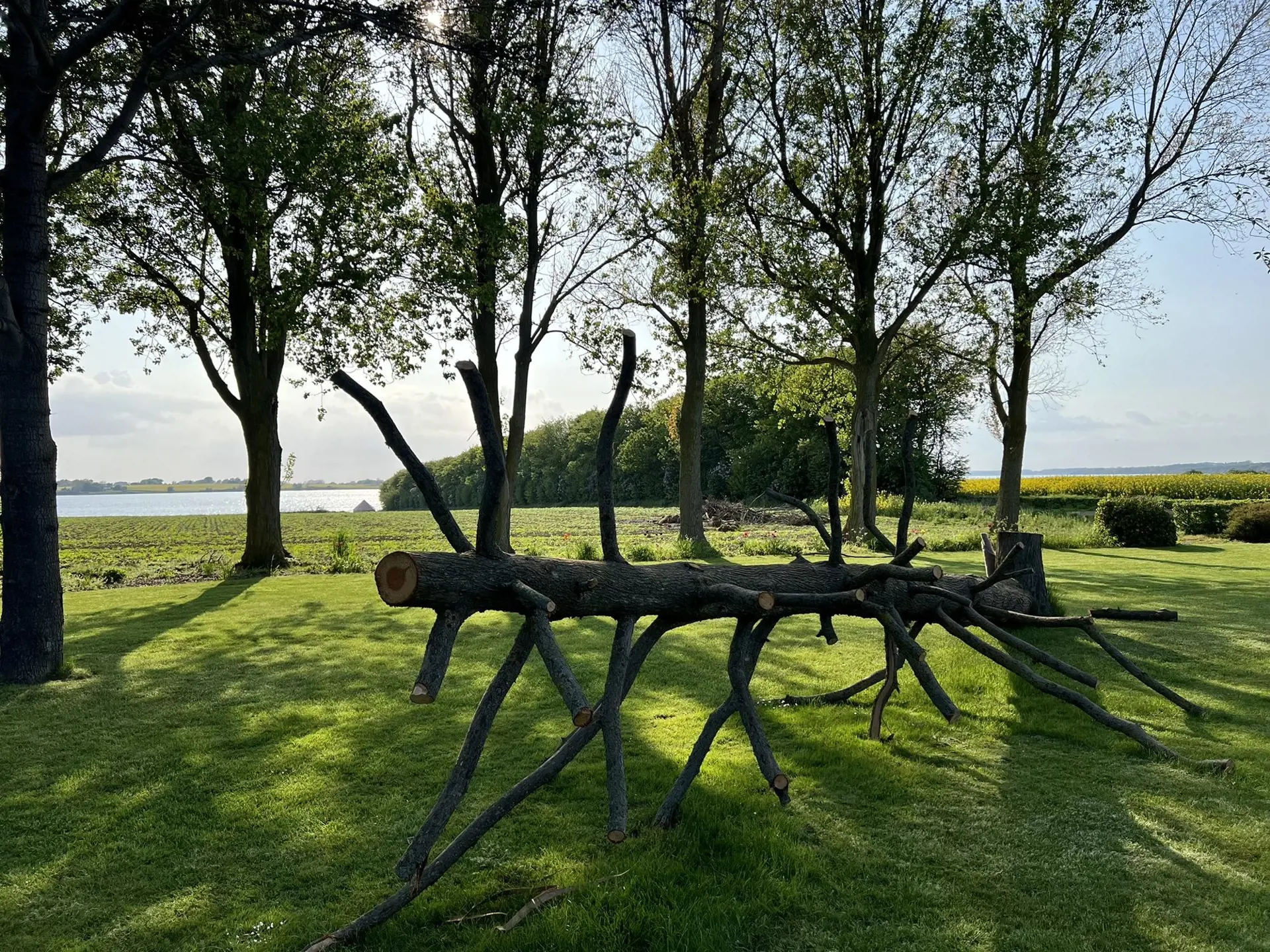 Bild 19 von 68