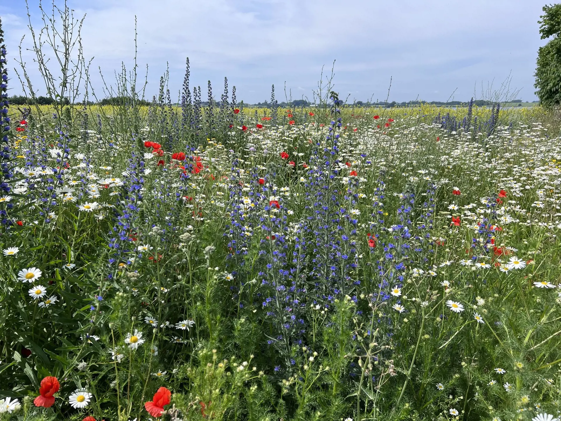 Bild 23 von 68