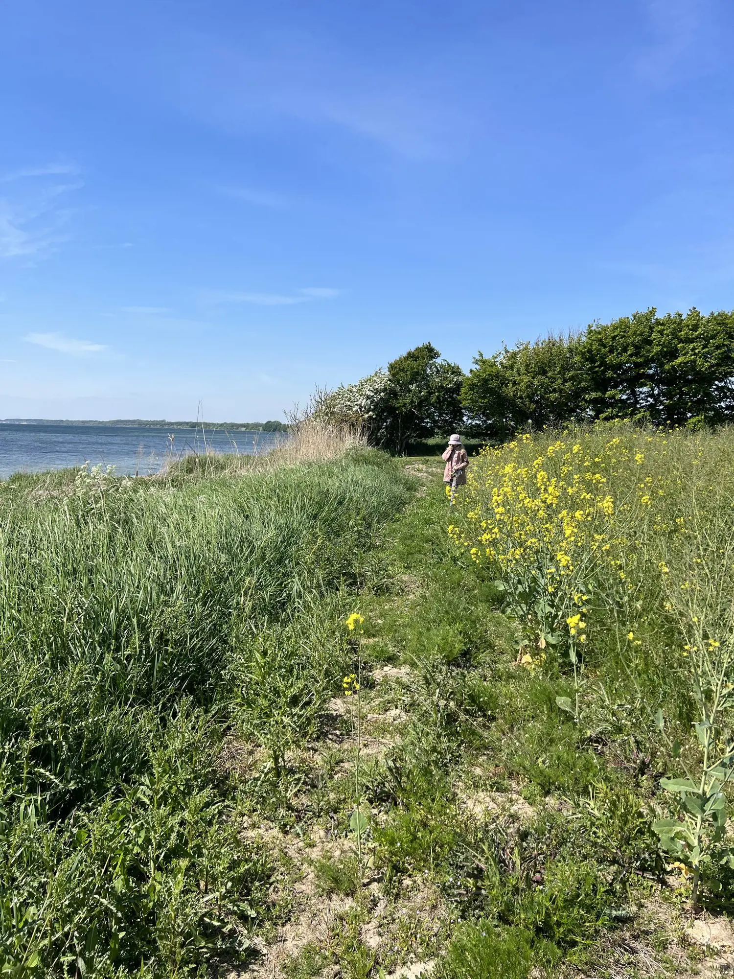 Bild 30 von 68