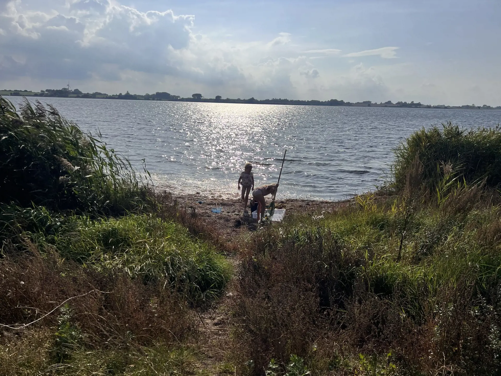 Bild 37 von 68