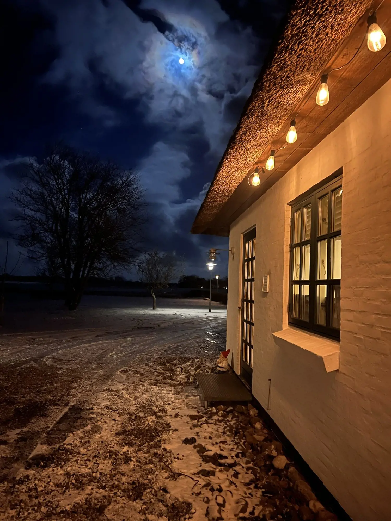 Bild 52 von 68
