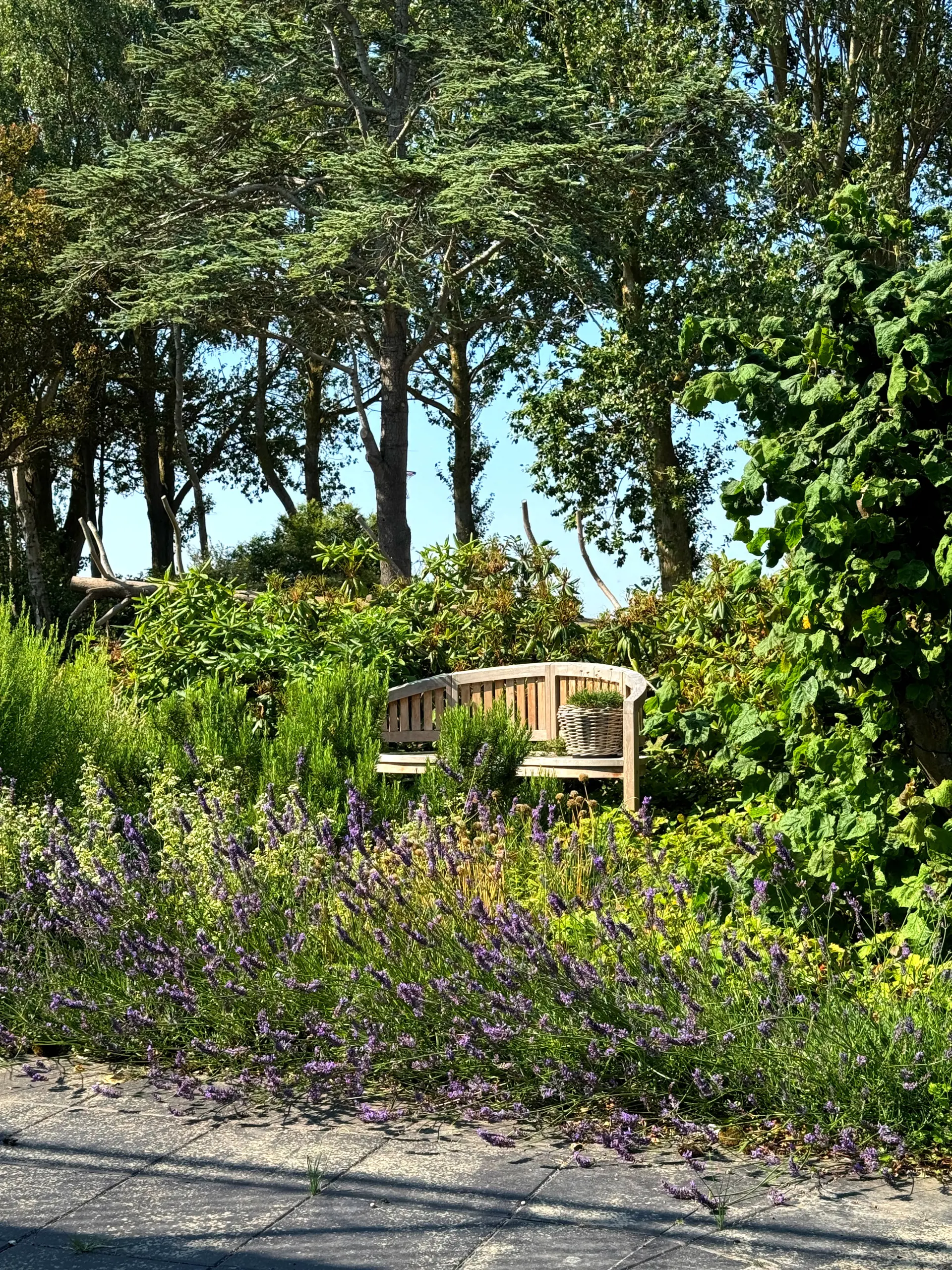Bild 54 von 68