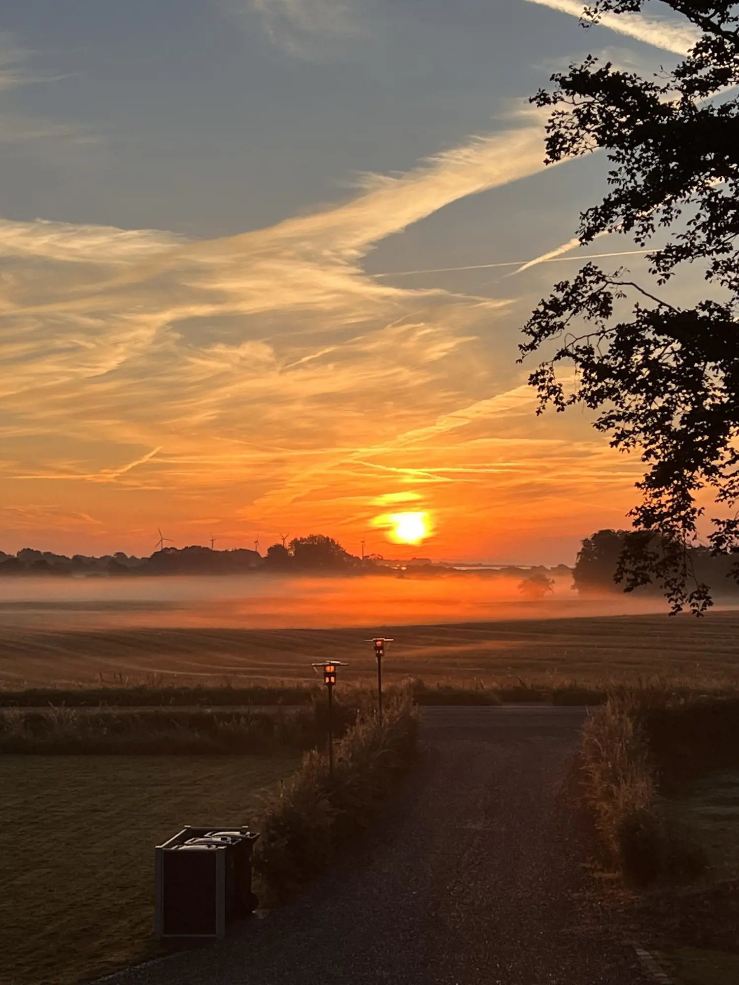 Bild 63 von 68