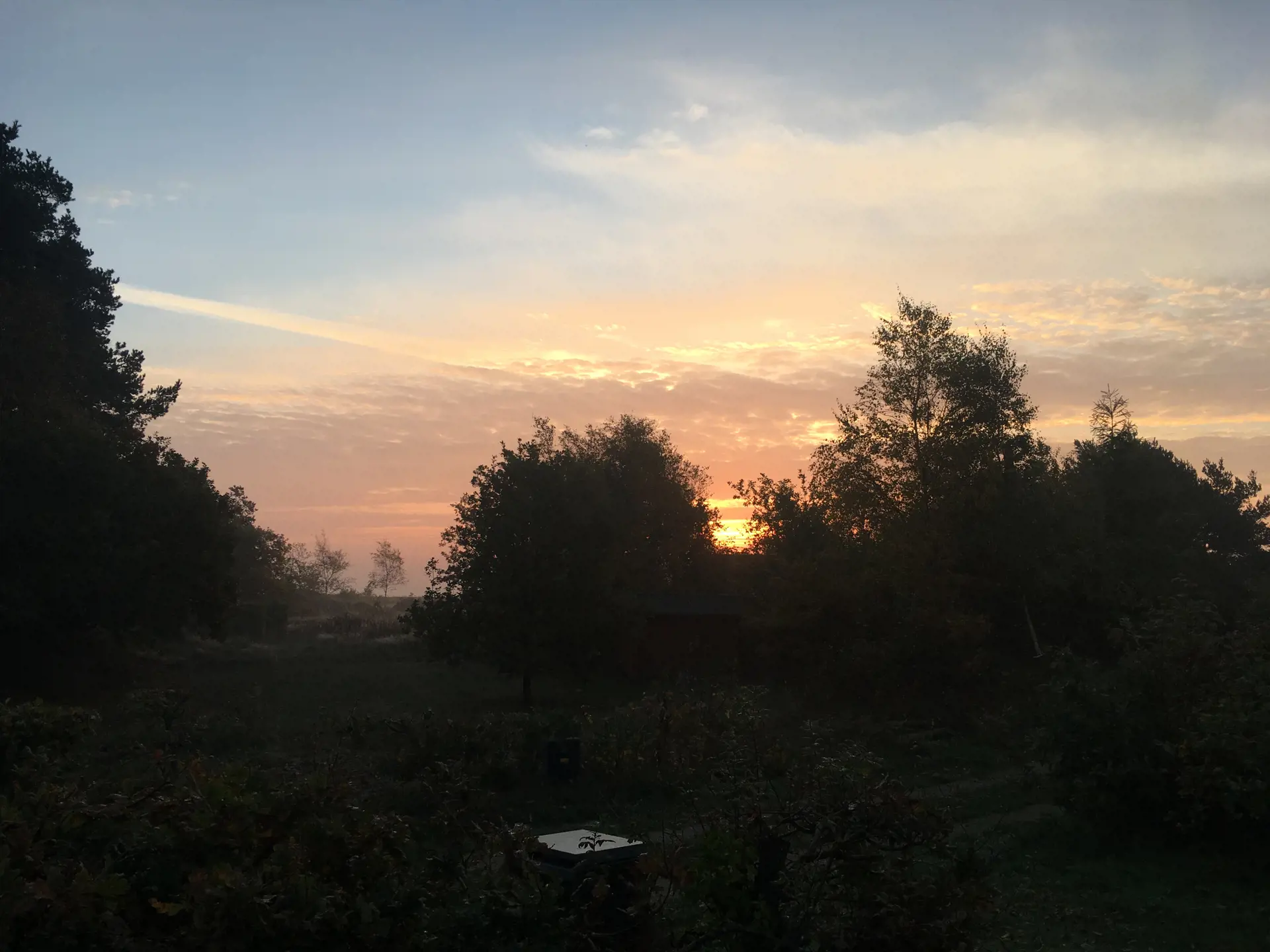 Bild 27 von 29