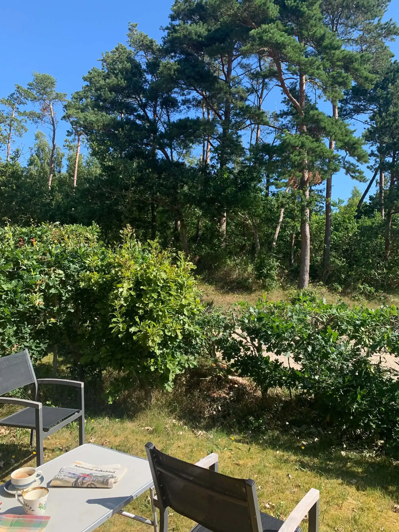 Bild 28 von 29
