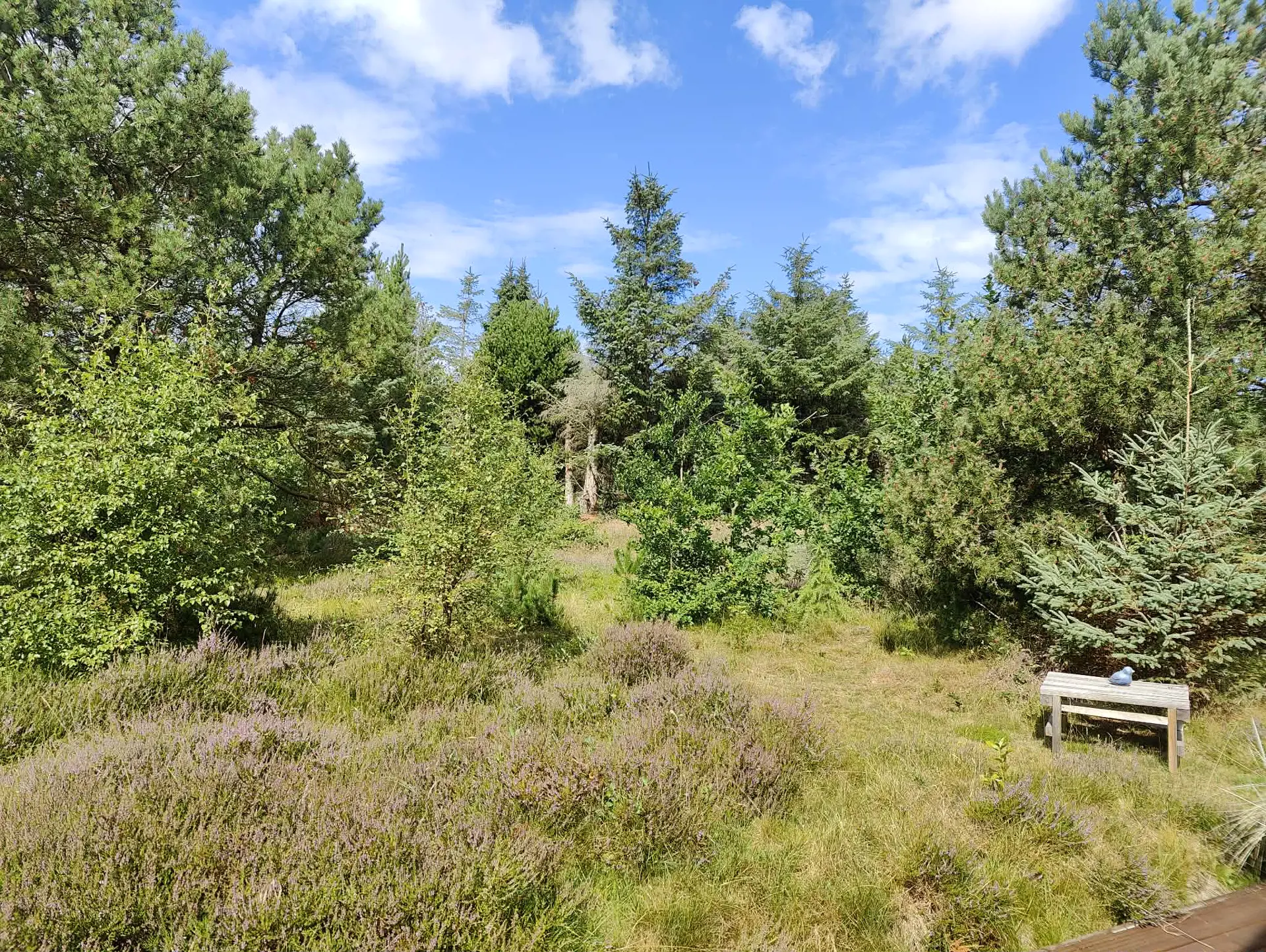 Bild 25 von 28