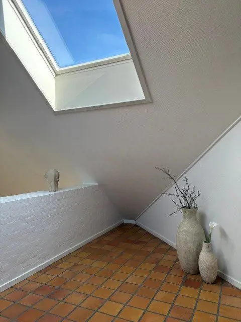 Bild 3 von 19