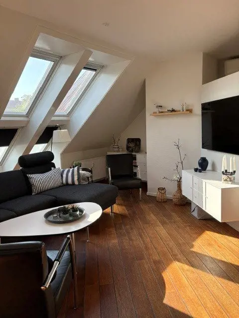 Bild 11 von 19