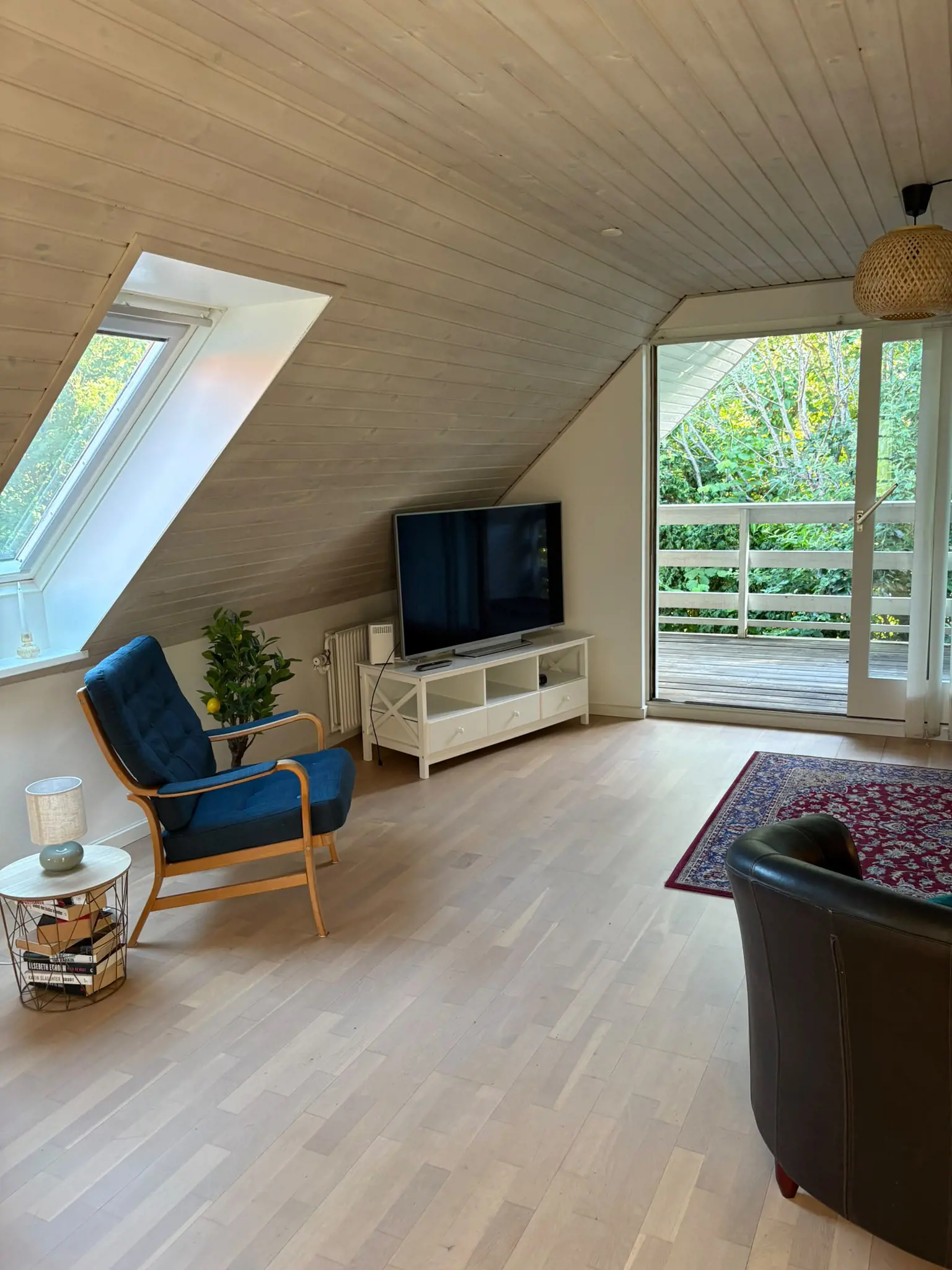 Bild 12 von 36