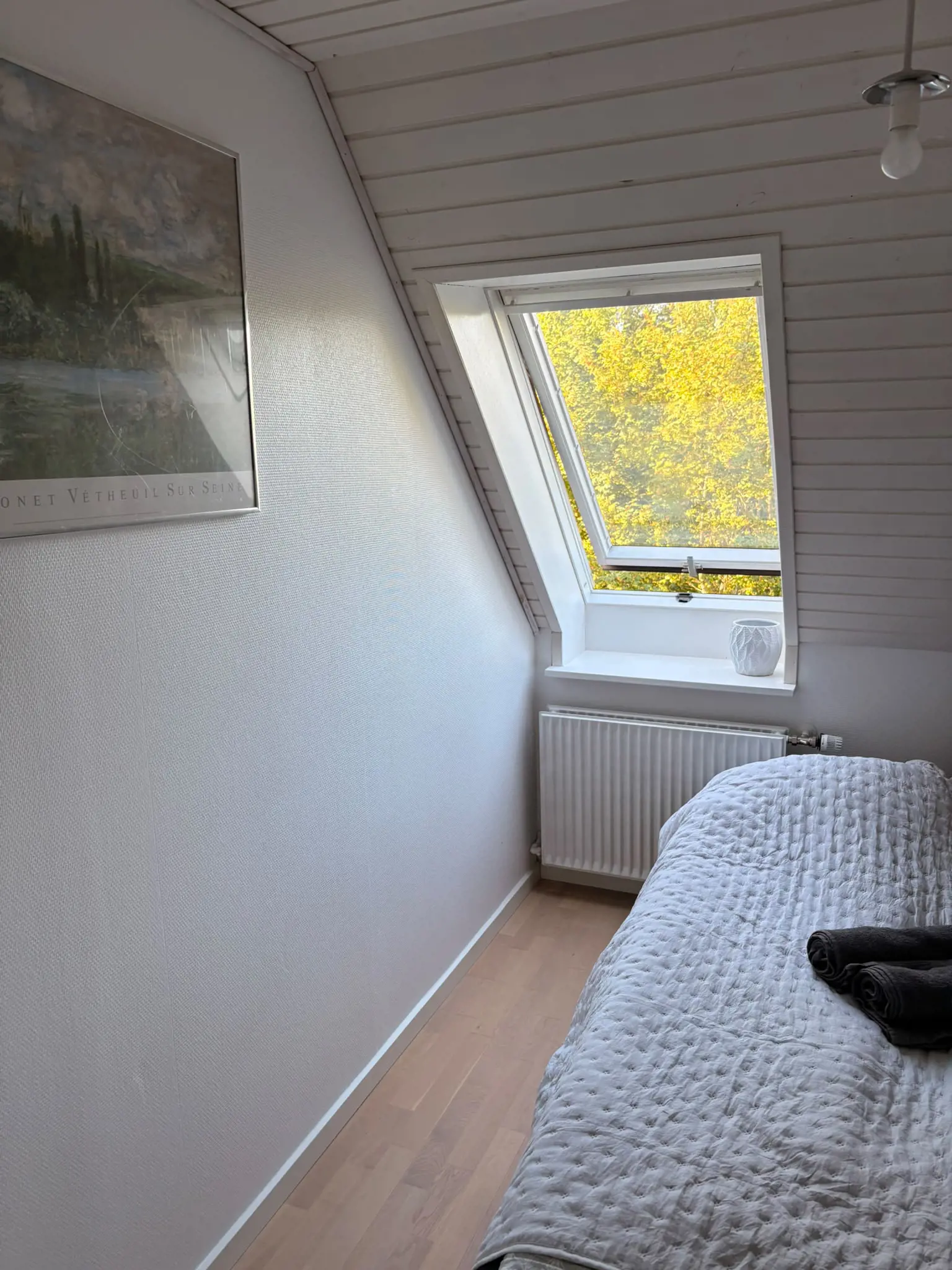 Bild 18 von 36