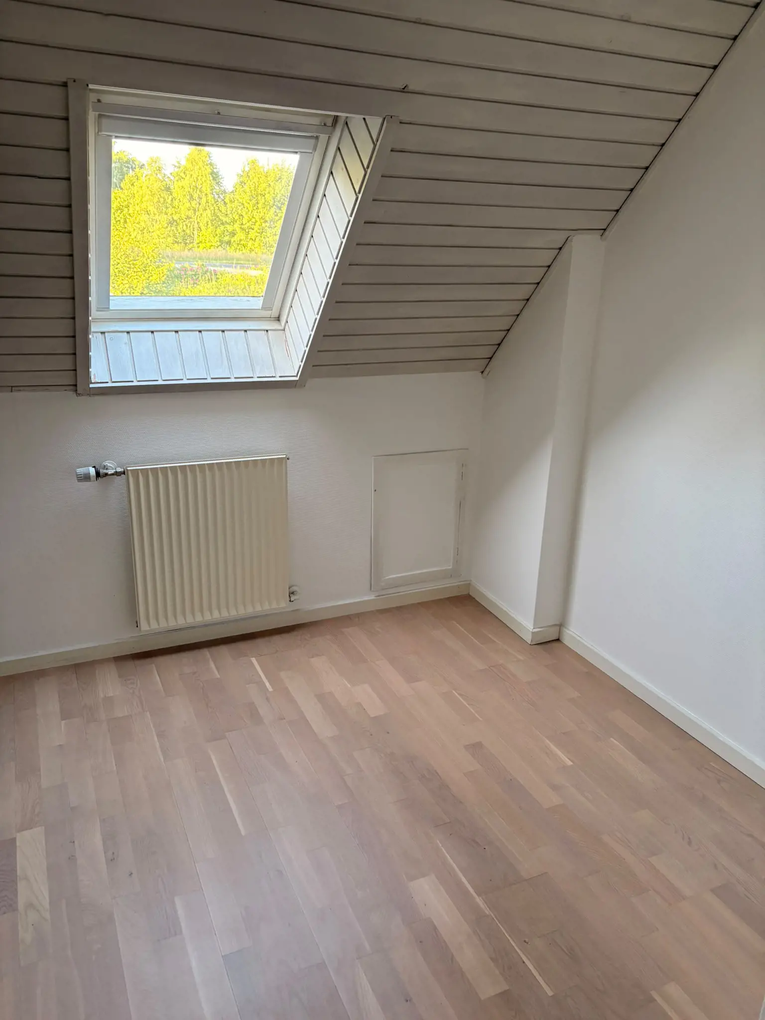 Bild 21 von 36