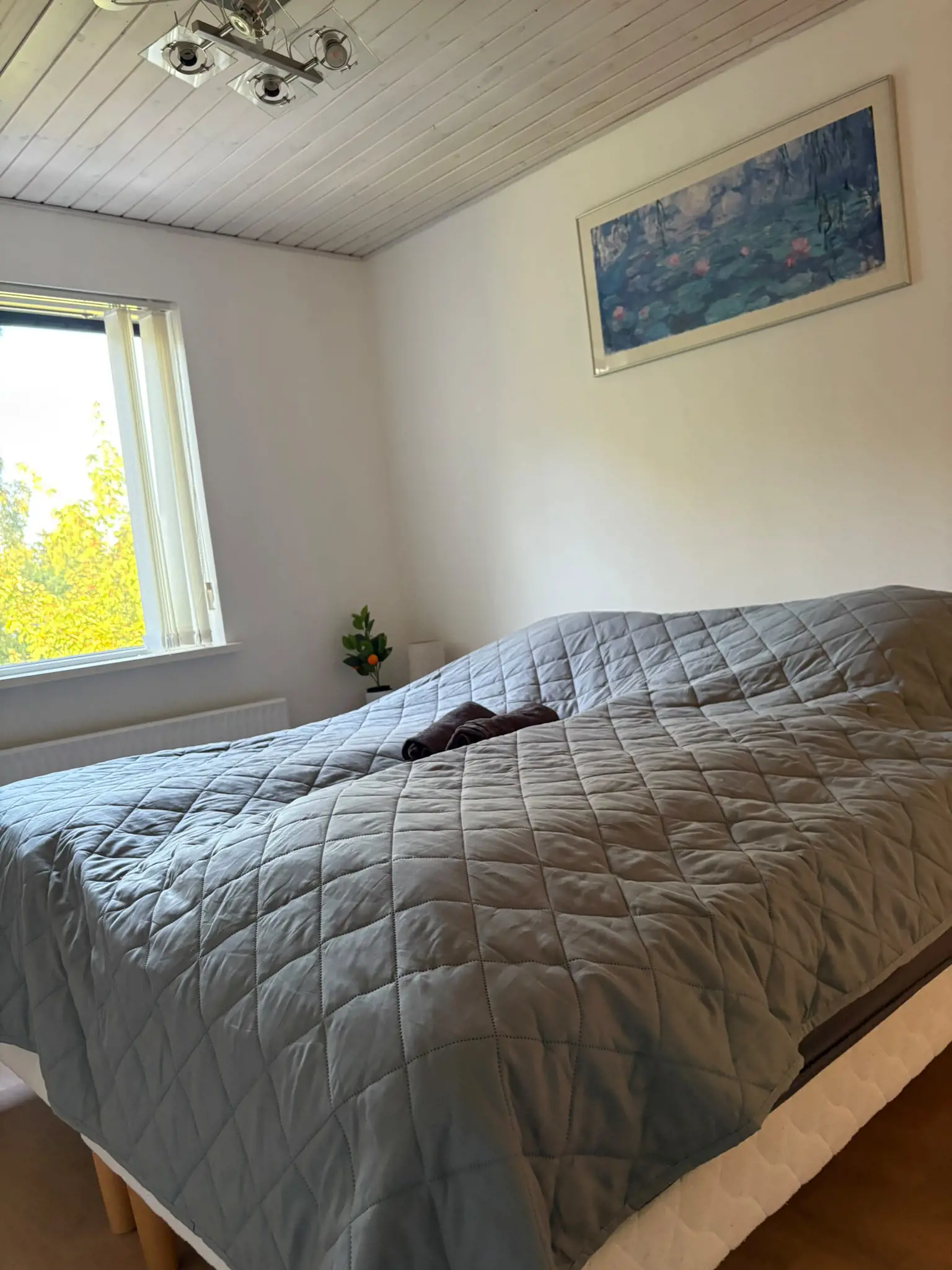 Bild 23 von 36