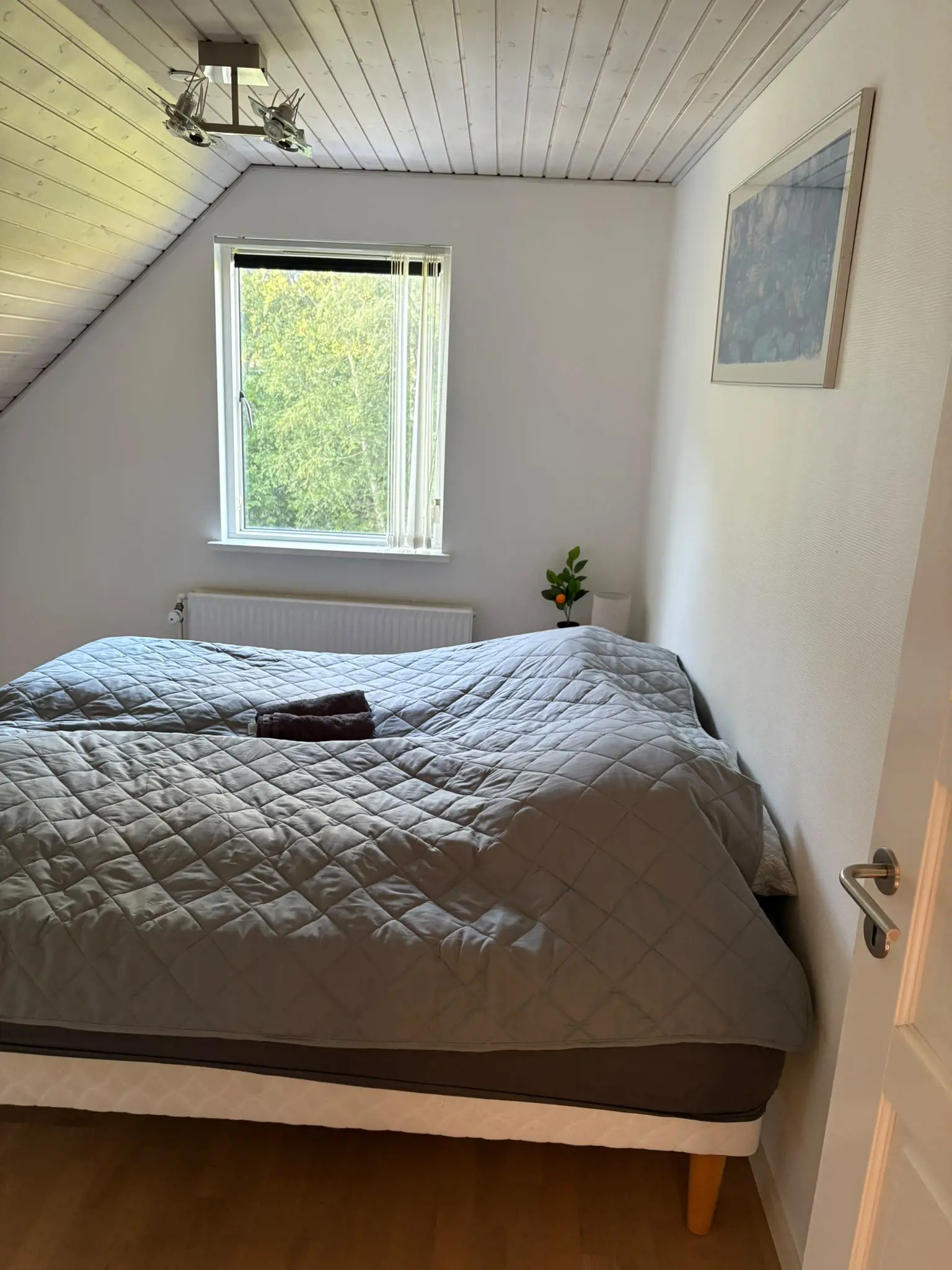 Bild 25 von 36