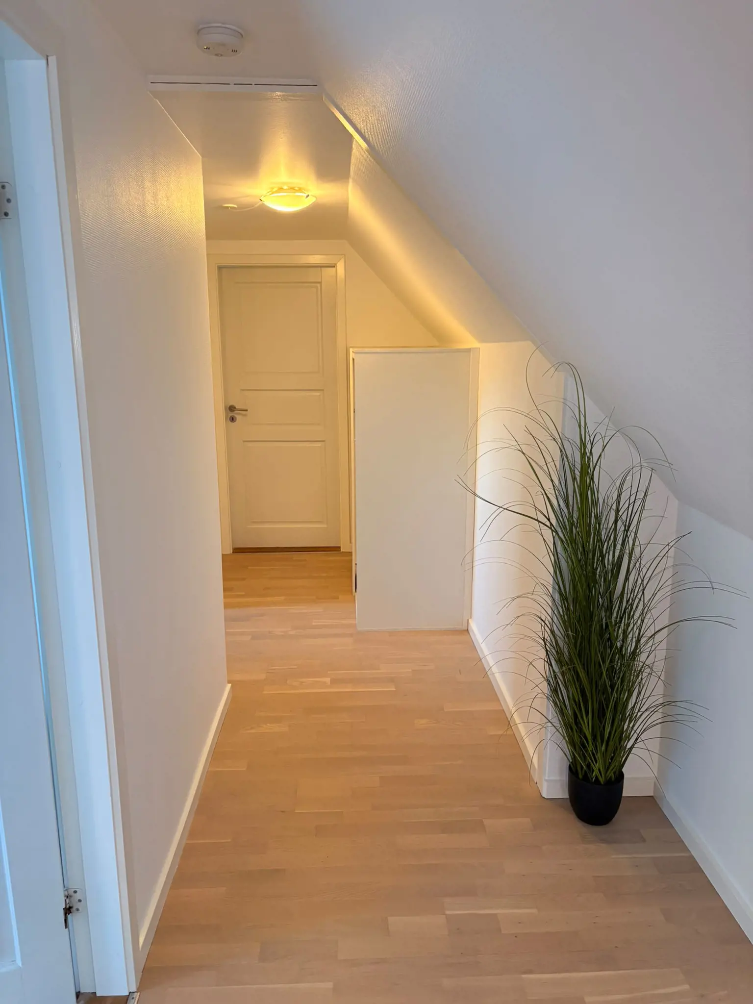 Bild 35 von 36