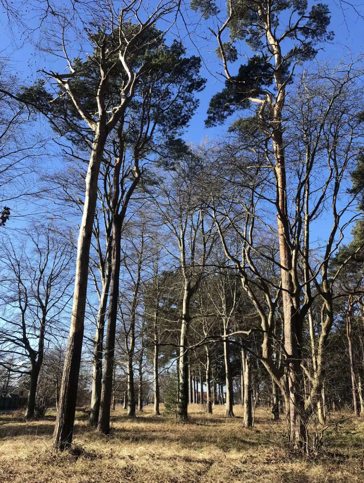 Bild 19 von 19