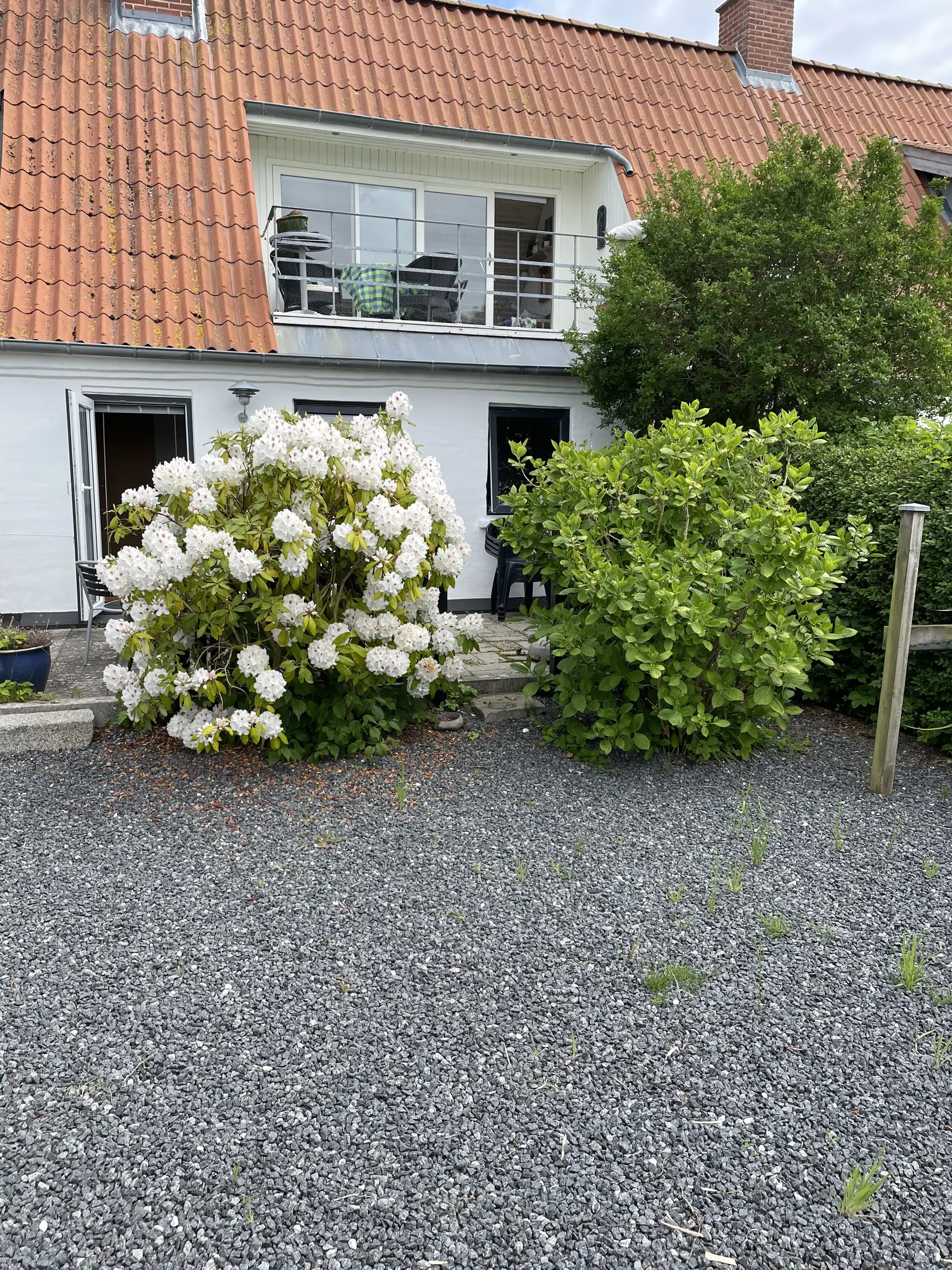 Ferienhaus 299066 in Aarø 19, Kleiner Belt | Bild 3 von 15