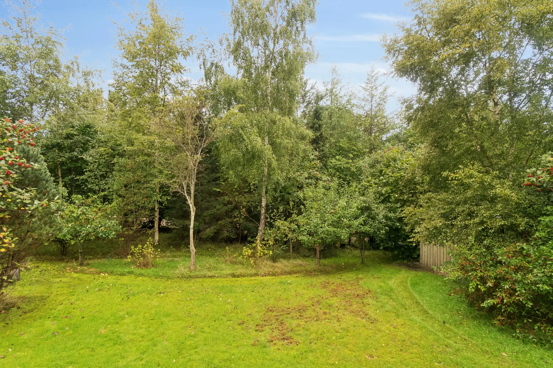 Ferienhaus 309404 in Oasevej 10, Sletterhage | Bild 25 von 26