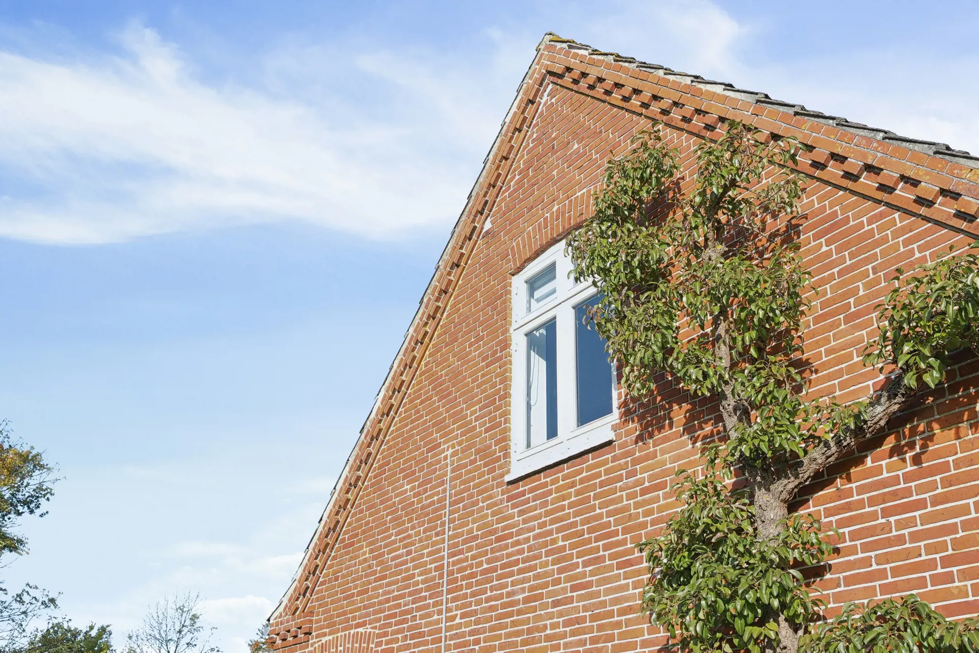 Ferienhaus 317501 in Bogø Hovedgade 56, Bogø | Bild 21 von 25