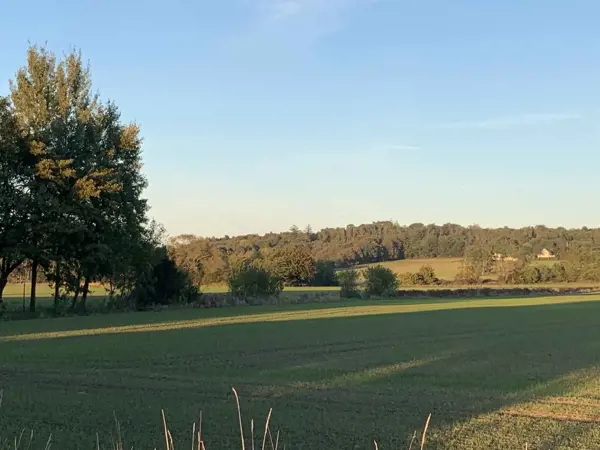 Bild 21 von 24