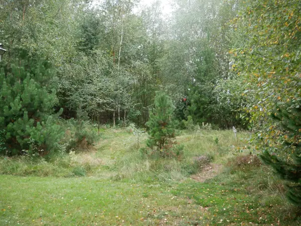 Bild 31 von 31