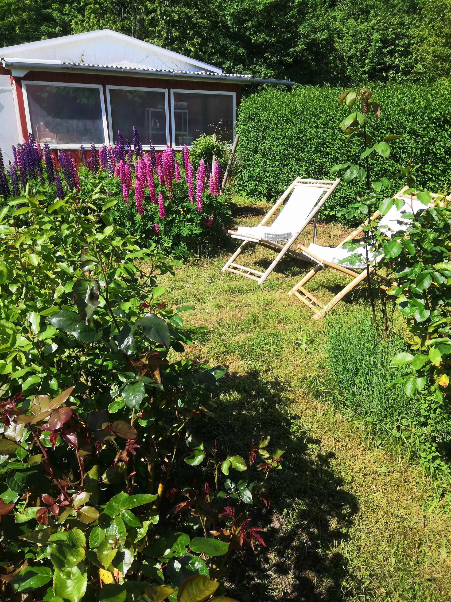 Bild 19 von 32