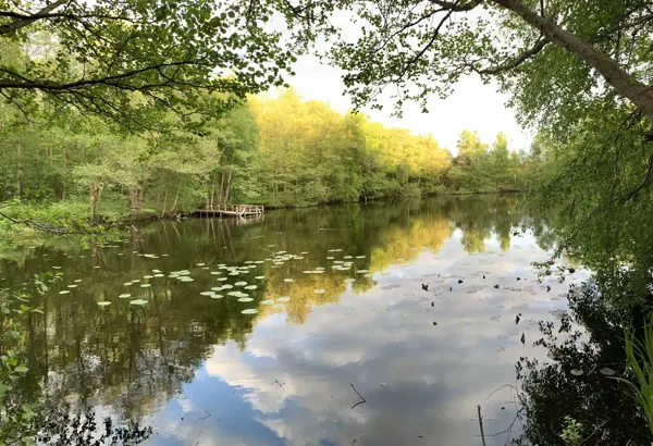 Bild 36 von 39