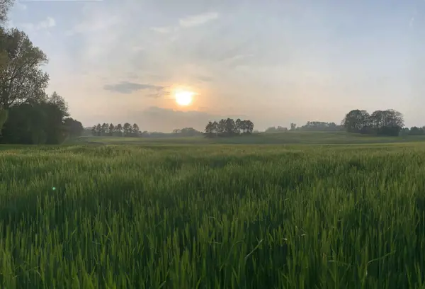 Bild 37 von 39