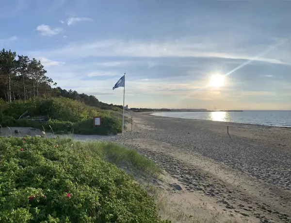 Bild 39 von 39