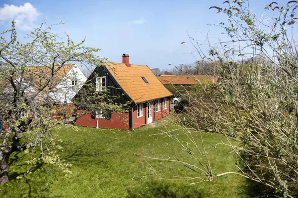 Ferienhaus 96744 in Svaneke / Nordbornholm