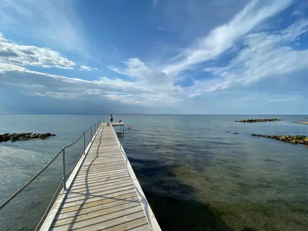 Bild 3 von 37