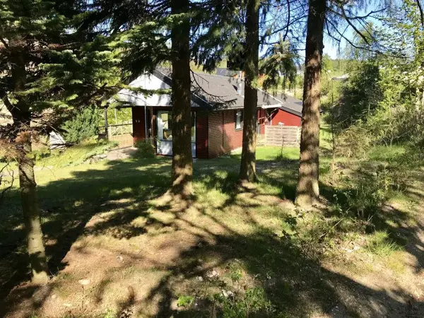 Bild 38 von 44