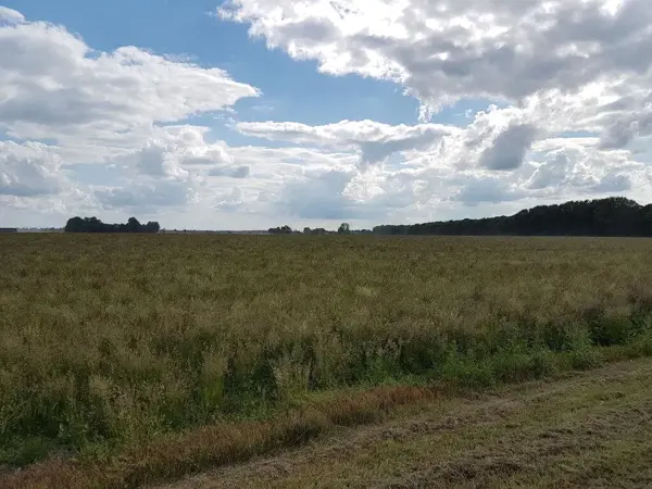 Bild 19 von 26