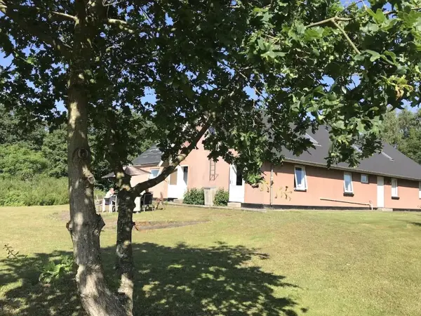 Bild 3 von 41