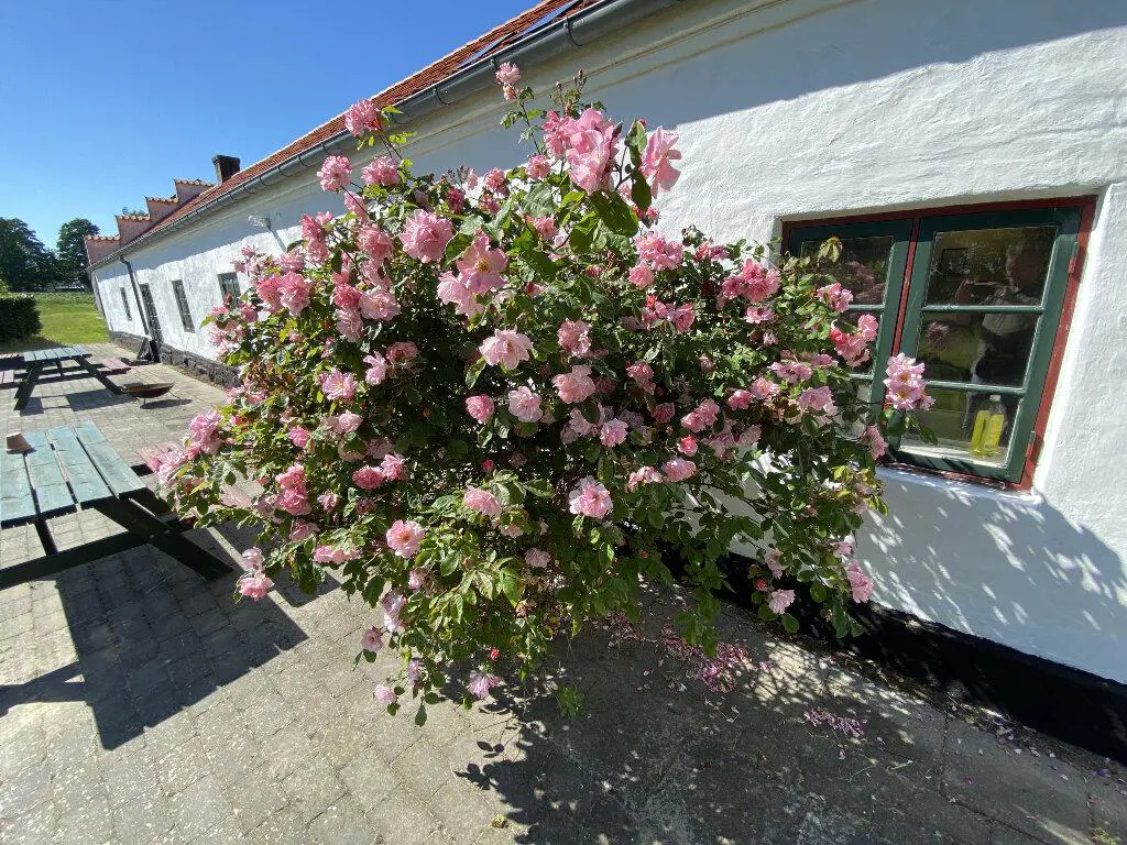 Bild 5 von 53