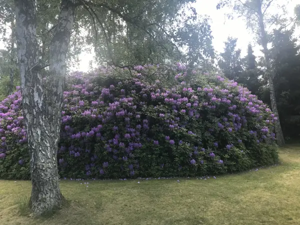 Bild 53 von 70